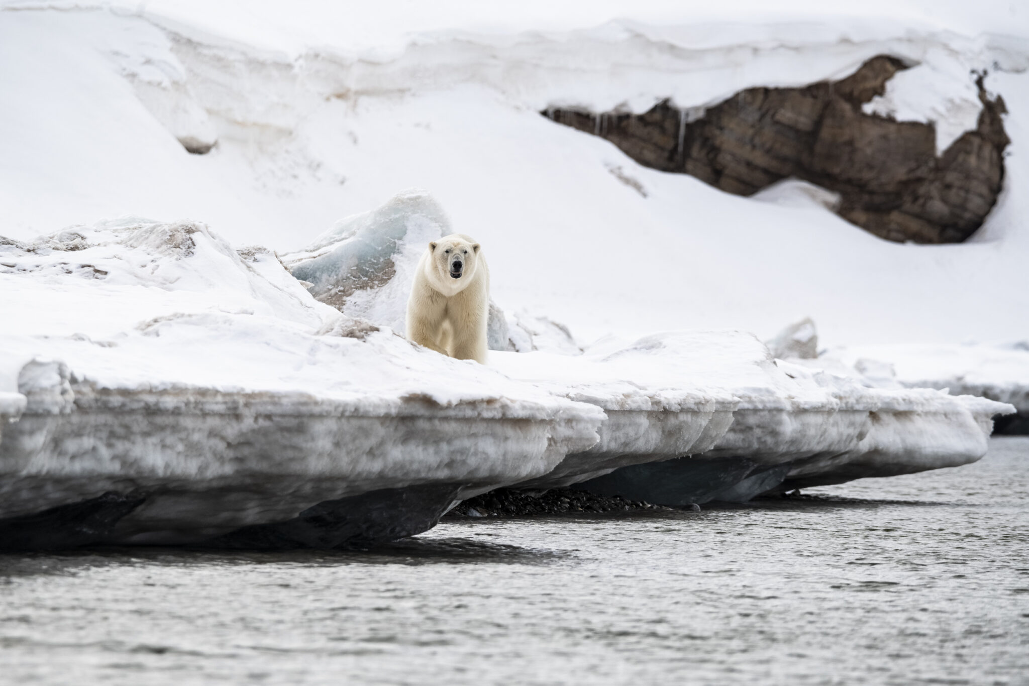 Set sail on a multigenerational family arctic adventure in 2025